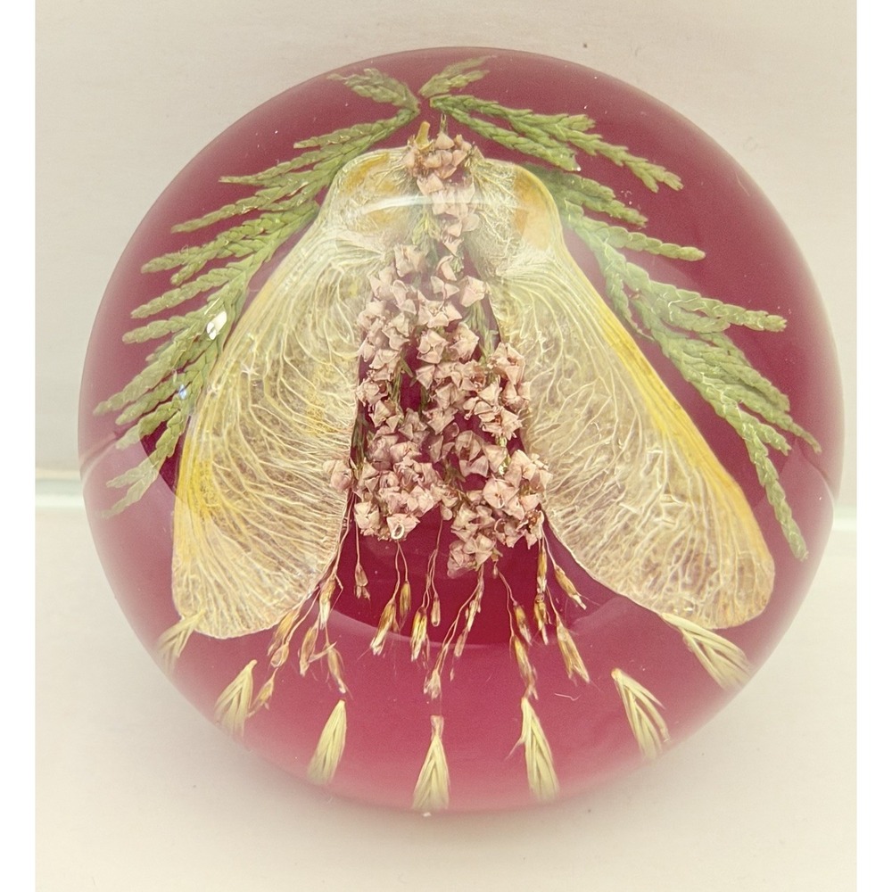 Vintage Lucite Paperweight Rare Pressed Flowers Fern Botanical Scotland Regency